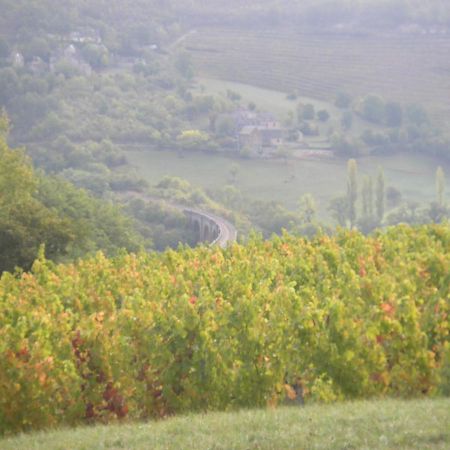Maison Isolee Dans Les Vignes Et Les Bois Valady Luaran gambar