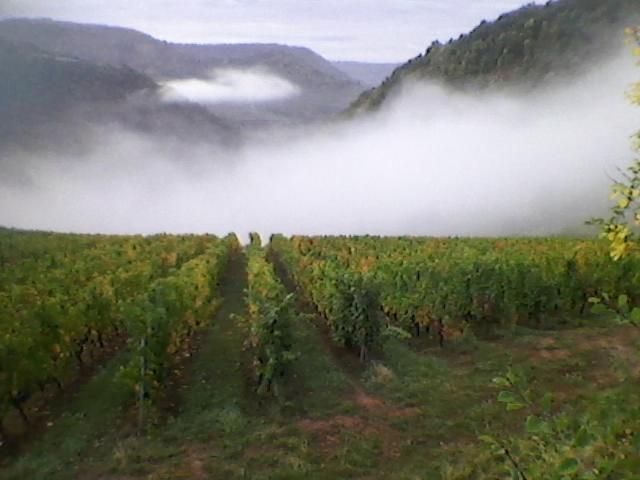 Maison Isolee Dans Les Vignes Et Les Bois Valady Luaran gambar