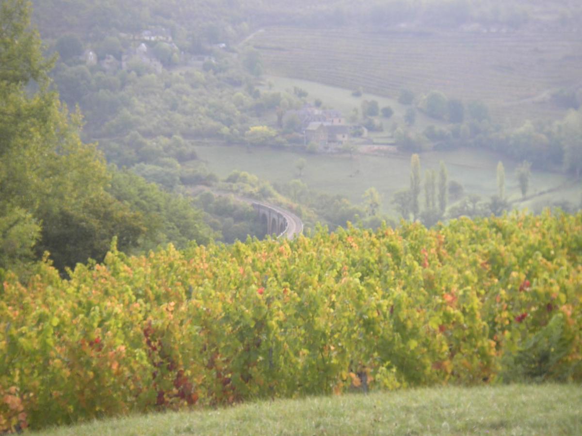 Maison Isolee Dans Les Vignes Et Les Bois Valady Luaran gambar