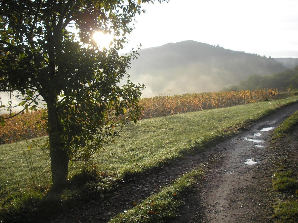 Maison Isolee Dans Les Vignes Et Les Bois Valady Luaran gambar