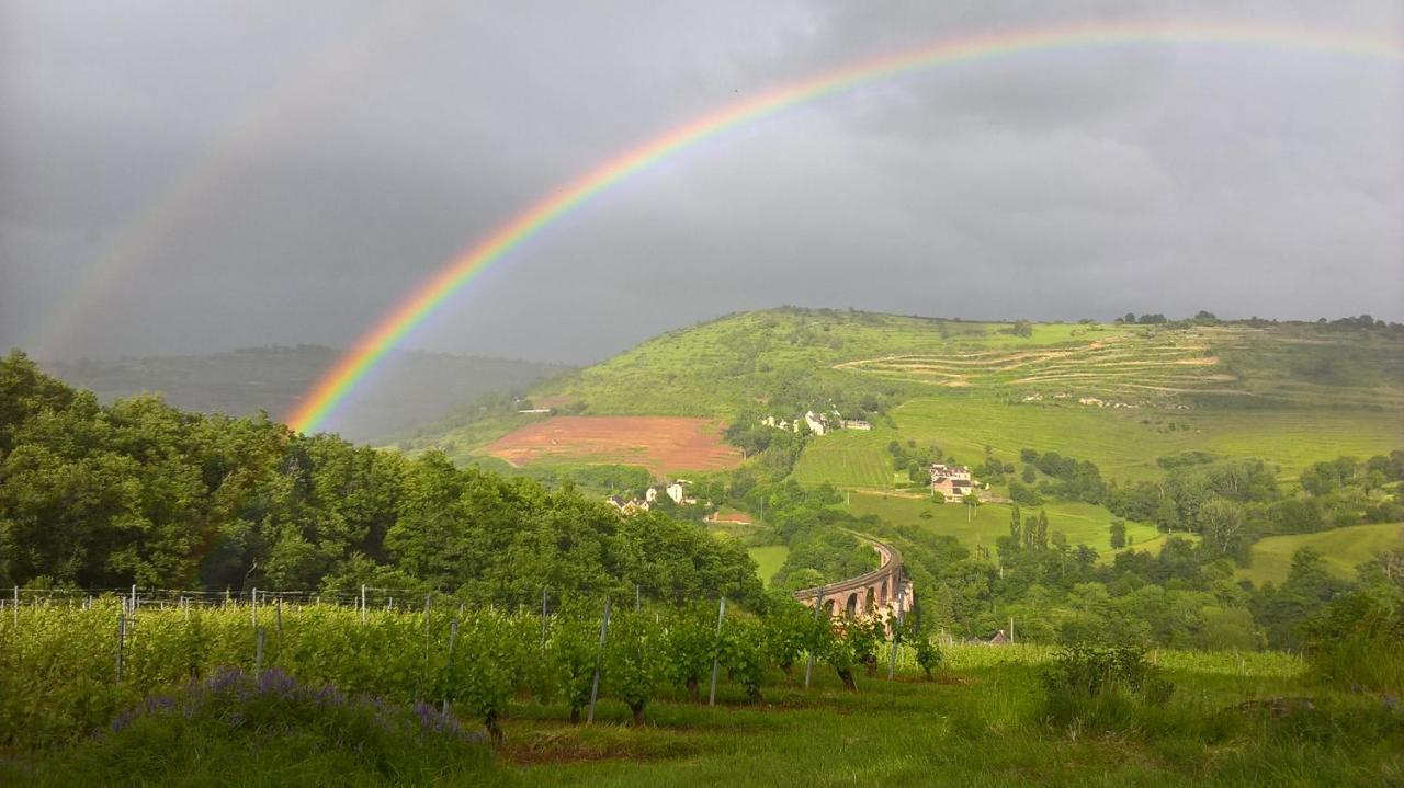 Maison Isolee Dans Les Vignes Et Les Bois Valady Luaran gambar